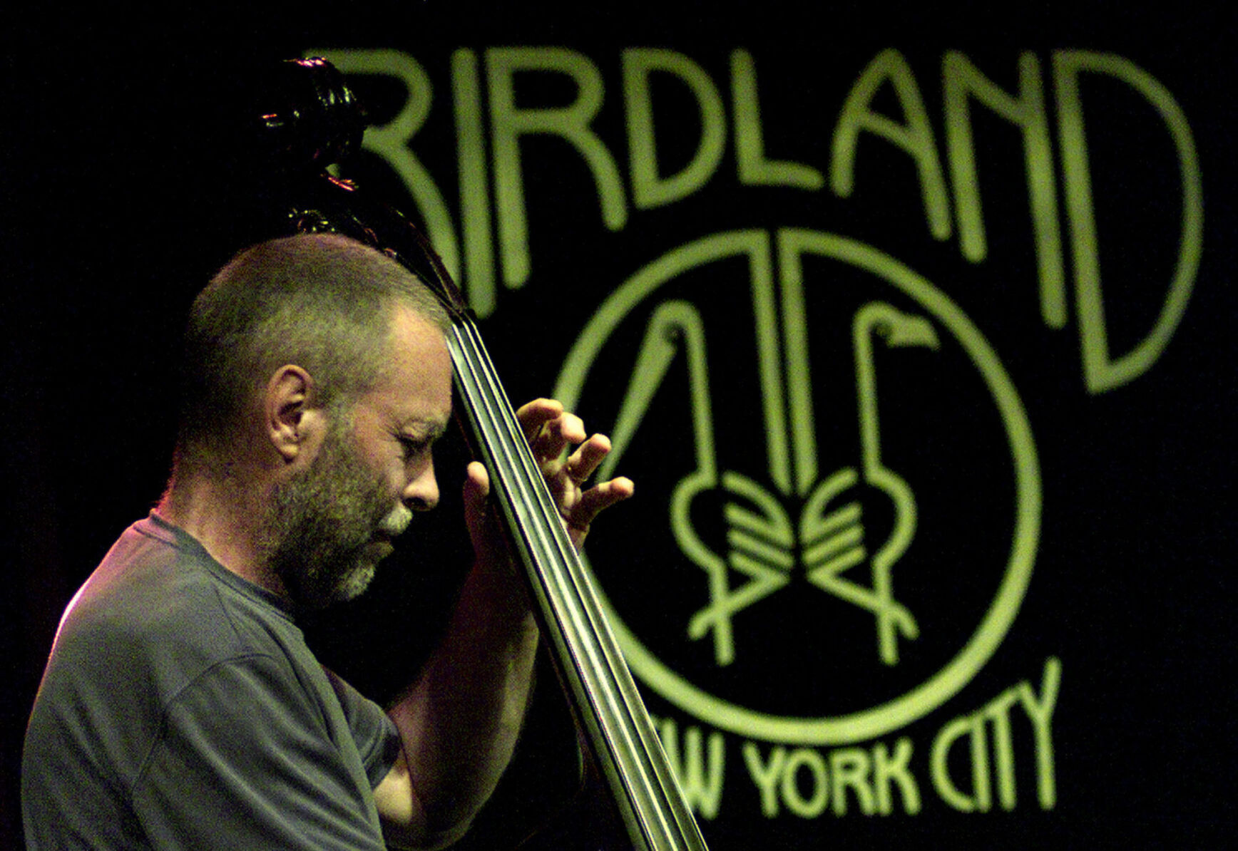 Dave Holland